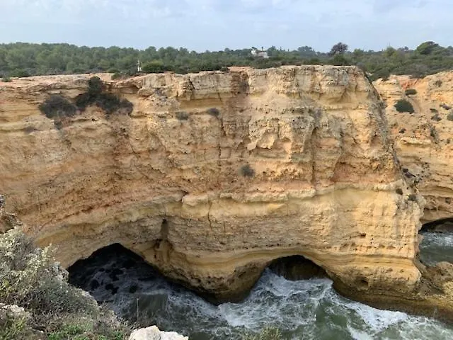 Quinta Casa Orman Evi
