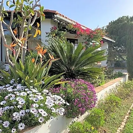 Quinta Casa Hytte